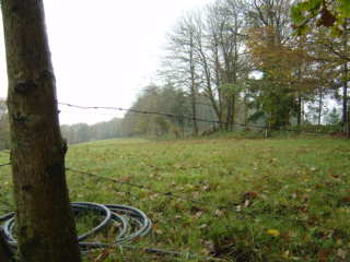 Mortain : 06/08/1944 - Hill 314 " The U.S. lost battalion" positions / La Cote 314, positions du "Bataillon perdu américain".